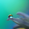 占い