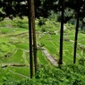 覗き見