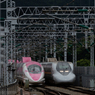 Hello!! Hello Kitty Shinkansen（１３／１３）