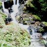 DSC01422