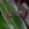 DSC_0055