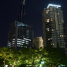 月夜