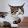プッ！