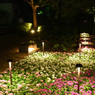 夜の花壇