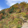 金時山3　尾根の紅葉