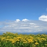 Summertime Blues