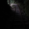 yakushima