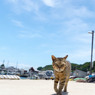 大沢くん！暑さに負けるな！！