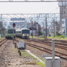 201系と221系