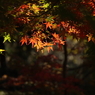 覗き窓