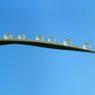  scale