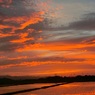 ・・夕陽・・