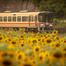 夏を駆ける列車