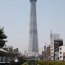 Sky tree