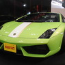 Gallardo