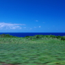 沖縄　古宇利島　走る風