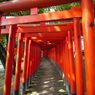 連鳥居