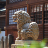 もふもふ狛犬