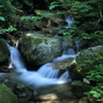 瀧ヤ谷水系