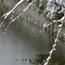 DSC_5447_00030_00001
