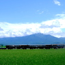 田園を走る
