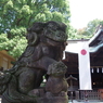 狛犬_谷保天満宮