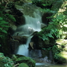 瀧ヤ谷渓谷　無名滝