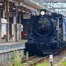 Ｂｌａｃｋ Ｂｅａｕｔｙ Ⅰ