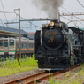 Ｂｌａｃｋ Ｂｅａｕｔｙ Ⅱ
