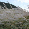 仙石原2