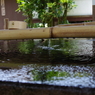 手水舎_上野東照宮