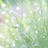 水玉空模様