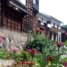 7月末の城端