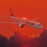 34 Fly in The Red Sky at Night