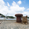 夏男、大沢くん