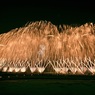 復興祈願花火「フェニックス」⑩