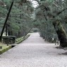出雲大社参道
