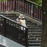 夏の階段