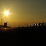 car rows in sunset