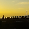 car rows in sunset