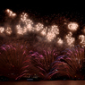 東京花火大祭_11