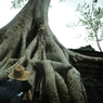 Ta Prohm