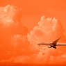 35 Strangers in The Orange Sky