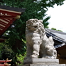 狛犬_柴又八幡神社