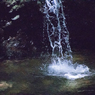 落水