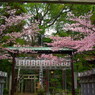 悠