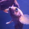 ん？