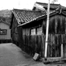 路上観察