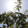 太陽が眩しいぜ