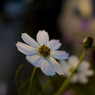 alone